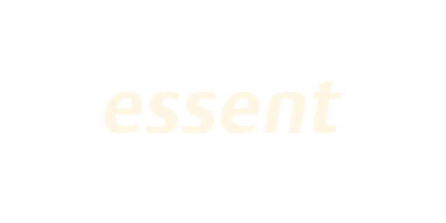 Klant Essent Licht